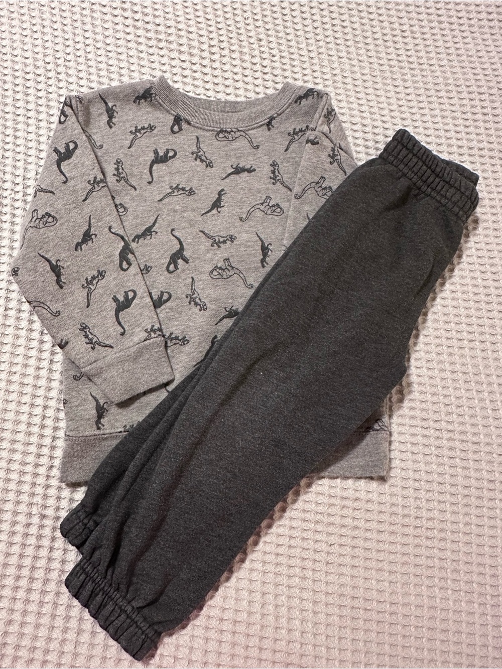 Garanimals Gray Dinosaur Sweatshirt & Dark Gray Joggers
